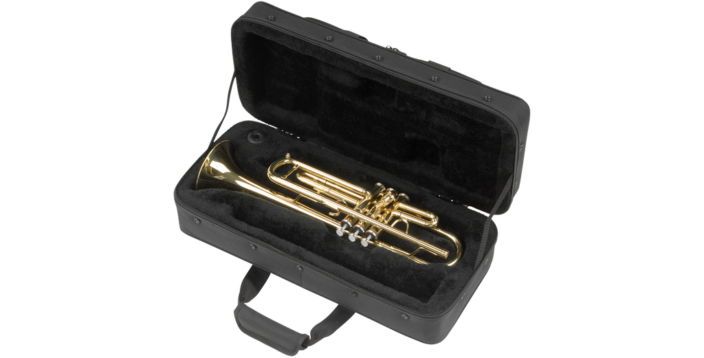 SKB Cases 1SKB-SC330