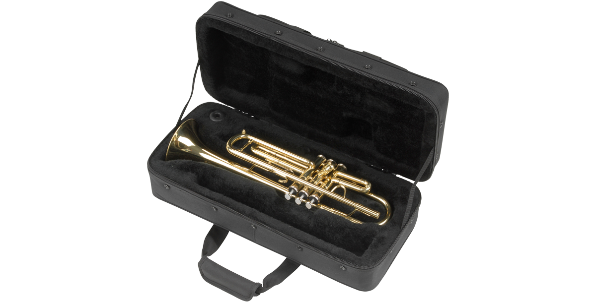 SKB Cases 1SKB-SC330