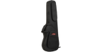 SKB Cases 1SKB-SCFS6