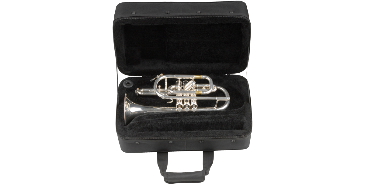 SKB Cases 1SKB-SC325