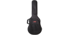 SKB Cases 1SKB-SC30