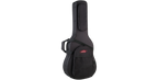 SKB Cases 1SKB-SC18