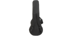SKB Cases 1SKB-SC56
