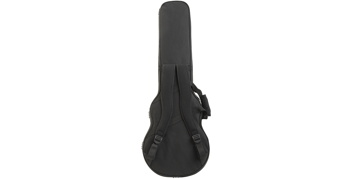 SKB Cases 1SKB-SC56