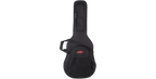 SKB Cases 1SKB-SC18