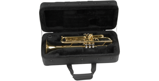 SKB Cases 1SKB-SC330