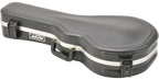 SKB Cases 1SKB-80F