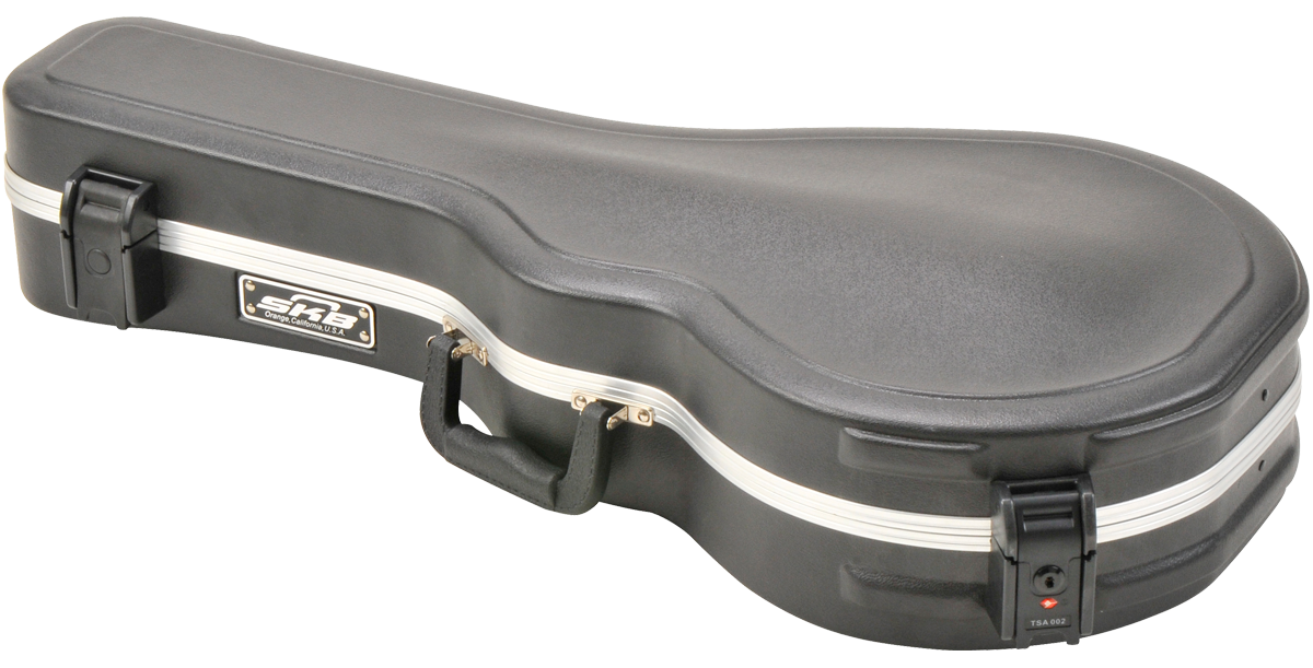 SKB Cases 1SKB-80F