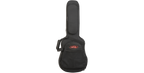 SKB Cases 1SKB-SC300