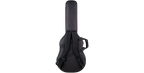 SKB Cases 1SKB-SC30