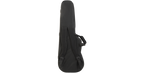 SKB Cases 1SKB-SCFS6