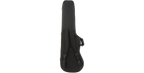 SKB Cases 1SKB-SCFB4