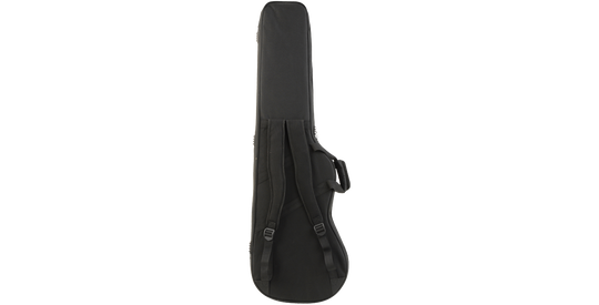SKB Cases 1SKB-SCFB4