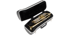 SKB Cases 1SKB-130