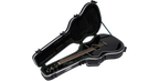 SKB Cases 1SKB-30