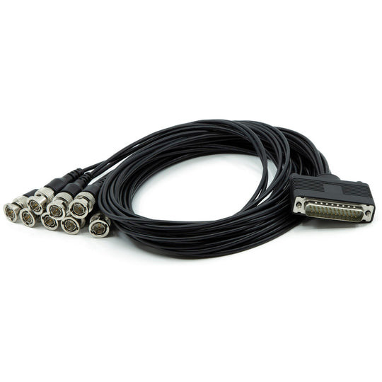 AJA 12G-AM-8BNC-CBL