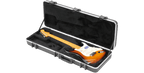 SKB Cases 1SKB-66PRO