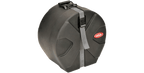 SKB Cases 1SKB-D6513