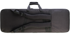 SKB Cases 1SKB-SC66