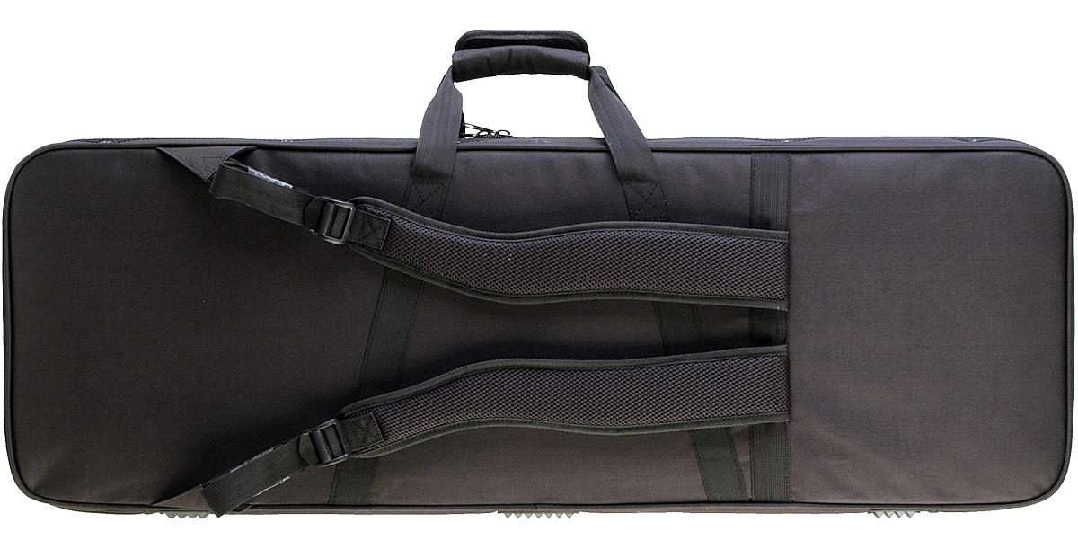 SKB Cases 1SKB-SC66