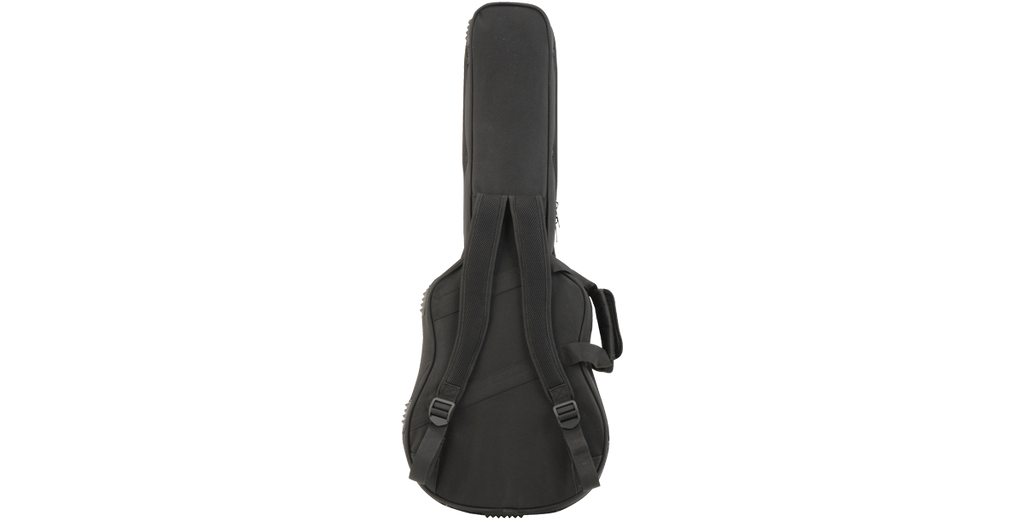 SKB Cases 1SKB-SC300
