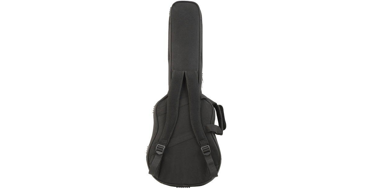 SKB Cases 1SKB-SC300