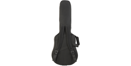 SKB Cases 1SKB-SC300