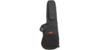 SKB Cases 1SKB-SCFS6