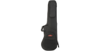 SKB Cases 1SKB-SCFB4