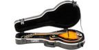 SKB Cases 1SKB-80F