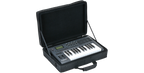 SKB Cases 1SKB-SC1913