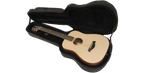 SKB Cases 1SKB-SC300