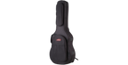 SKB Cases 1SKB-SC30