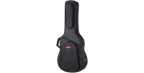 SKB Cases 1SKB-SC18