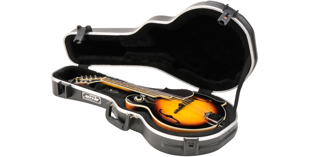 SKB Cases 1SKB-80F