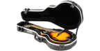 SKB Cases 1SKB-80F