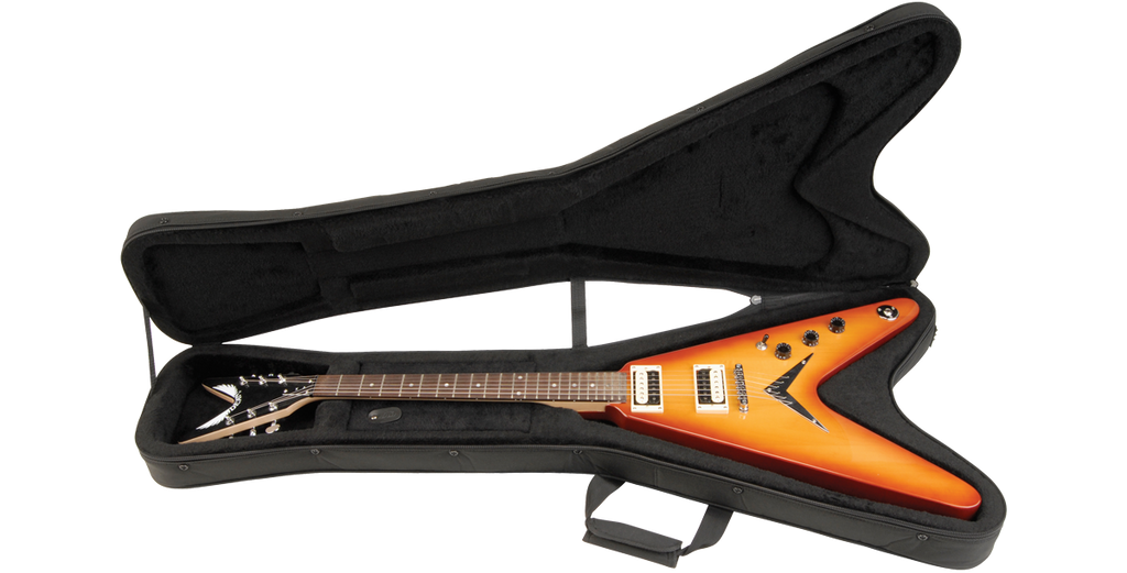 SKB Cases 1SKB-SC58