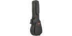 SKB Cases 1SKB-SC56
