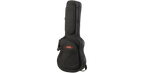 SKB Cases 1SKB-SC300