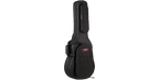 SKB Cases 1SKB-SC30