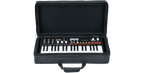 SKB Cases 1SKB-SC2311