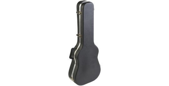 SKB Cases 1SKB-300
