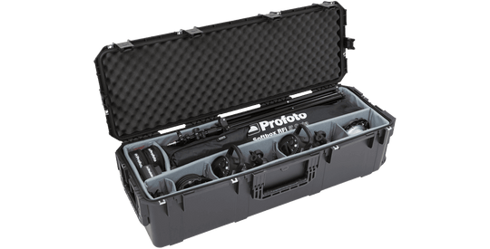 SKB Cases 3I-4213-12DT