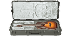 SKB Cases 3I-4217-30