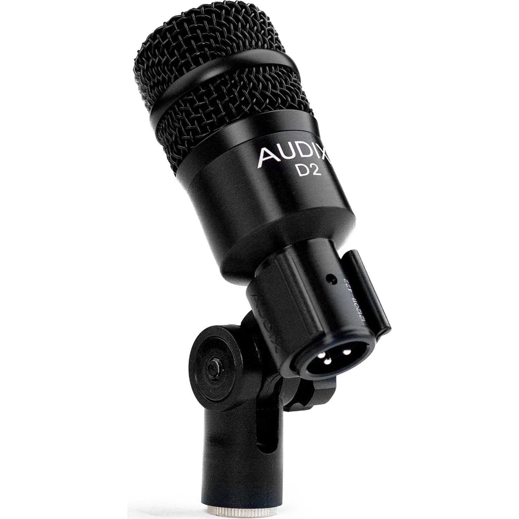 AUDIX D2