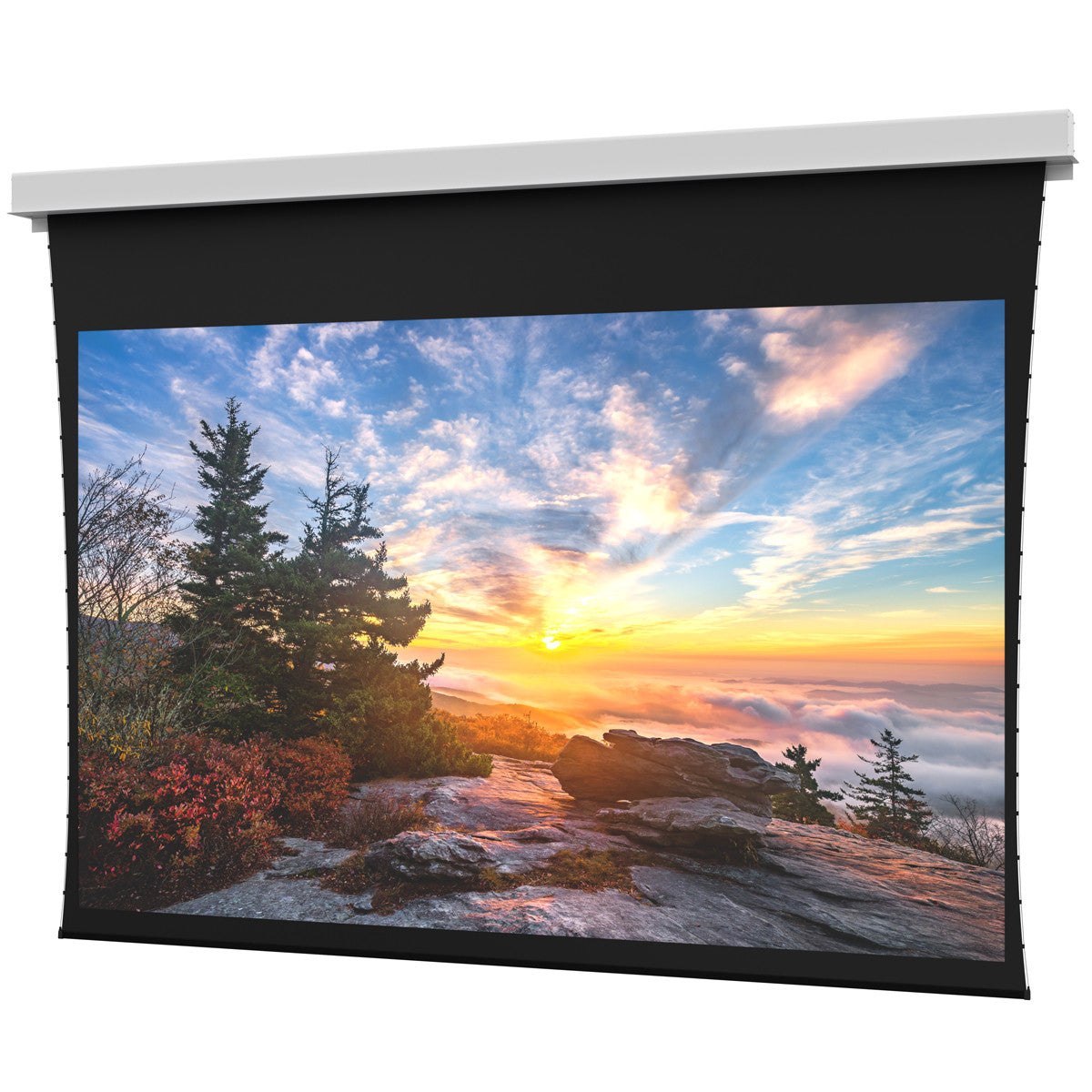 DA-LITE DL100282L