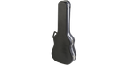 SKB Cases 1SKB-300
