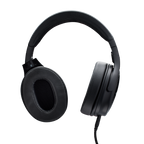 AUDIX A150