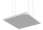 AI Speech Ceiling Mic-Speaker MCS06