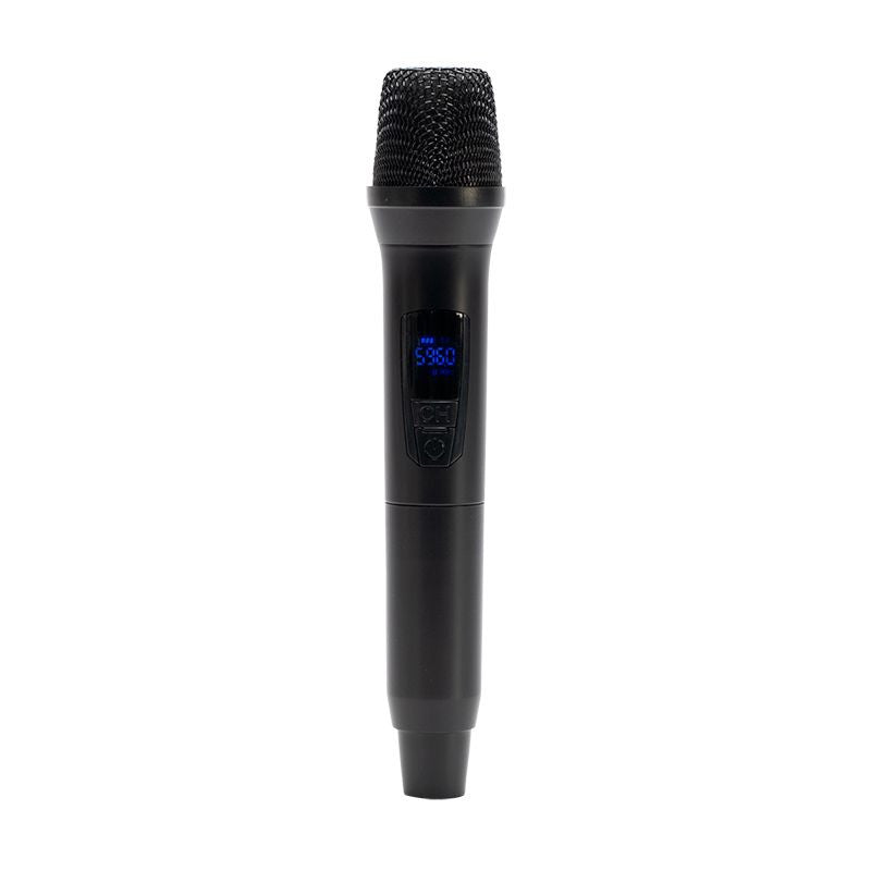 American DJ APX12 GO BT
